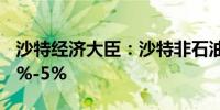 沙特经济大臣：沙特非石油经济今年将增长4%-5%