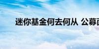 迷你基金何去何从 公募面临两难抉择