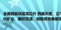 金属铜板块震荡拉升 西藏天路、正平股份、西藏珠峰涨停华钰矿业、鹏欣资源、铜陵有色等跟涨