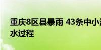 重庆8区县暴雨 43条中小河流出现1~5米涨水过程