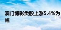 澳门博彩类股上涨5.4%为13个月以来最大涨幅