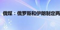 俄媒：俄罗斯和伊朗制定两国间结算新方案