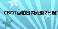 CBOT豆粕日内涨超2%现报379.7美元/吨