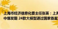 上海市经济信息化委主任张英：上海人工智能产业正进入集中爆发期 24款大模型通过国家备案