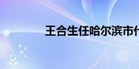 王合生任哈尔滨市代理市长