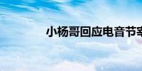 小杨哥回应电音节宰客言论