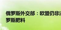 俄罗斯外交部：欧盟仍非法扣押约10万吨俄罗斯肥料