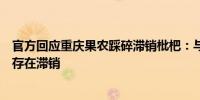 官方回应重庆果农踩碎滞销枇杷：与商贩口角后负气行为不存在滞销