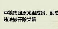 中粮集团原党组成员、副总经理周政严重违纪违法被开除党籍