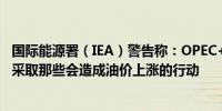 国际能源署（IEA）警告称：OPEC+不应当在6月1日开会时采取那些会造成油价上涨的行动