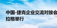 中国-捷克企业交流对接会9日在捷克首都布拉格举行