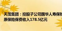 天茂集团：控股子公司国华人寿保险股份有限公司今年累计原保险保费收入178.5亿元