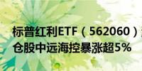 标普红利ETF（562060）涨0.27%第一大重仓股中远海控暴涨超5%