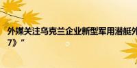 外媒关注乌克兰企业新型军用潜艇外观奇特“就像来自《007》”