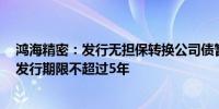 鸿海精密：发行无担保转换公司债暂定以美金7亿元为上限发行期限不超过5年