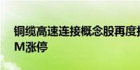 铜缆高速连接概念股再度拉升 胜蓝股份20CM涨停