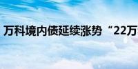 万科境内债延续涨势“22万科04”涨超14%