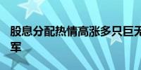 股息分配热情高涨多只巨无霸ETF加入分红大军