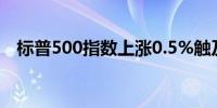 标普500指数上涨0.5%触及盘中纪录高位