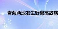 青海两地发生野禽高致病性禽流感疫情