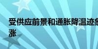 受供应前景和通胀降温迹象提振 WTI单周上涨