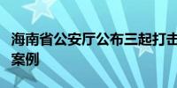 海南省公安厅公布三起打击整治网络谣言典型案例