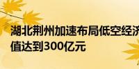 湖北荆州加速布局低空经济 力争2027年总产值达到300亿元