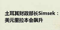 土耳其财政部长Simsek：如果央行没有购买美元里拉本会飙升