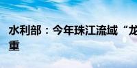 水利部：今年珠江流域“龙舟水”影响可能偏重