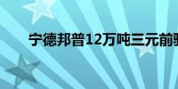 宁德邦普12万吨三元前驱体全线达产