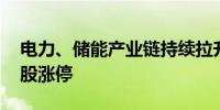 电力、储能产业链持续拉升 万胜智能等十余股涨停