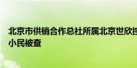 北京市供销合作总社所属北京世欣控股有限公司副总经理陈小民被查