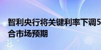 智利央行将关键利率下调50个基点至6.0%符合市场预期