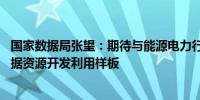 国家数据局张望：期待与能源电力行业深度协同 打造行业数据资源开发利用样板