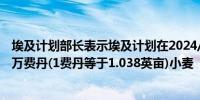 埃及计划部长表示埃及计划在2024/2025财政年度种植350万费丹(1费丹等于1.038英亩)小麦