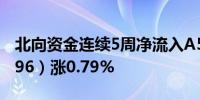 北向资金连续5周净流入A50ETF华宝（159596）涨0.79%