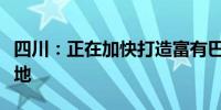 四川：正在加快打造富有巴蜀特色的消费目的地