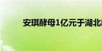 安琪酵母1亿元于湖北新设子公司