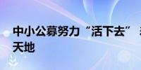 中小公募努力“活下去” 差异化发展打出新天地