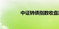 中证转债指数收盘跌0.1%