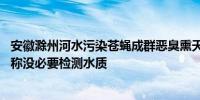 安徽滁州河水污染苍蝇成群恶臭熏天 河流污染恶臭相关部门称没必要检测水质