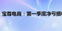 宝尊电商：第一季度净亏损收窄至6660万元