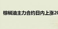 棕榈油主力合约日内上涨200元涨幅2.62%