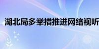 湖北局多举措推进网络视听节目和内容创作