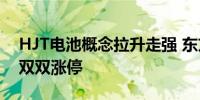 HJT电池概念拉升走强 东方日升、琏升科技双双涨停