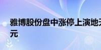 雅博股份盘中涨停上演地天板成交额1.96亿元