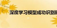 深度学习模型成功识别胚胎发育过程