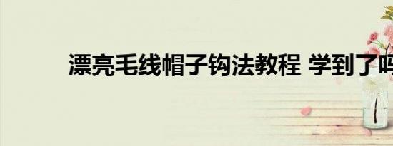 漂亮毛线帽子钩法教程 学到了吗