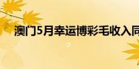 澳门5月幸运博彩毛收入同比增长29.7%