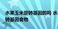 水果玉米是转基因的吗 水果玉米到底是不是转基因食物